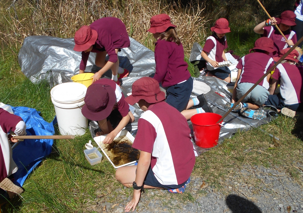 Students enjoying the Waterbug Survey 2016