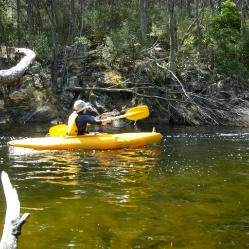 Kayaking on the Lagoon