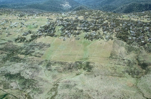 Aerial photo showing experiments to determine impacts of rabbits on alpine vegetation