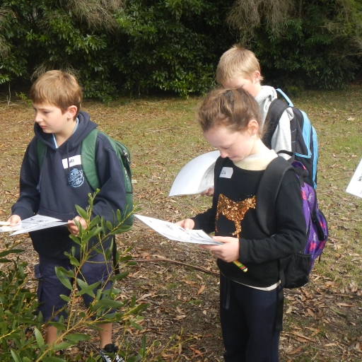 Students in the field - Biodiversity