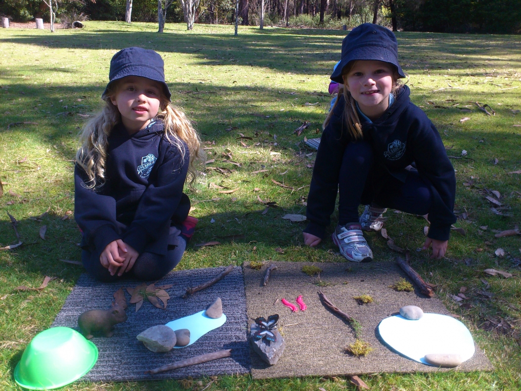 Students making habitats during the Living Things for Kindi program