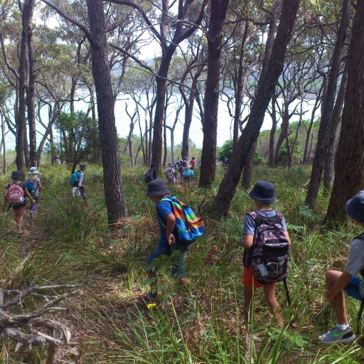 Stage 2 students exploring Bournda National Park