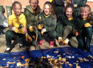 students from Berridale Public School conducting a waste audit