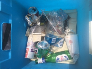 Roadside litter collected in a 60m2 area on Sapphire Coast Drive
