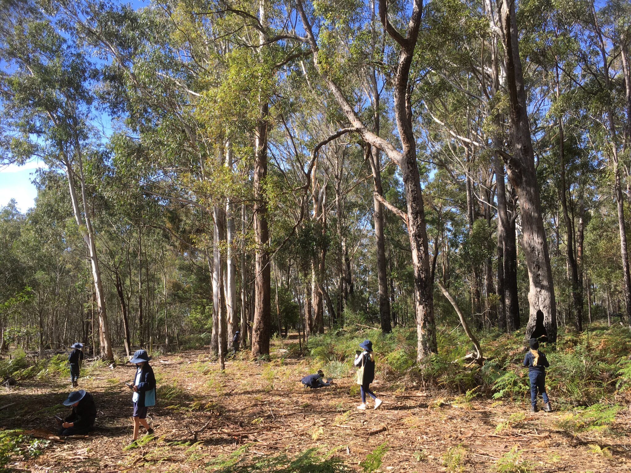 Stage 1 - Geography - Features of Places - Bournda Environmental ...