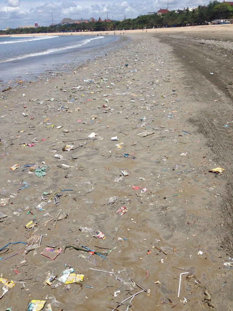 marine debris on a beach