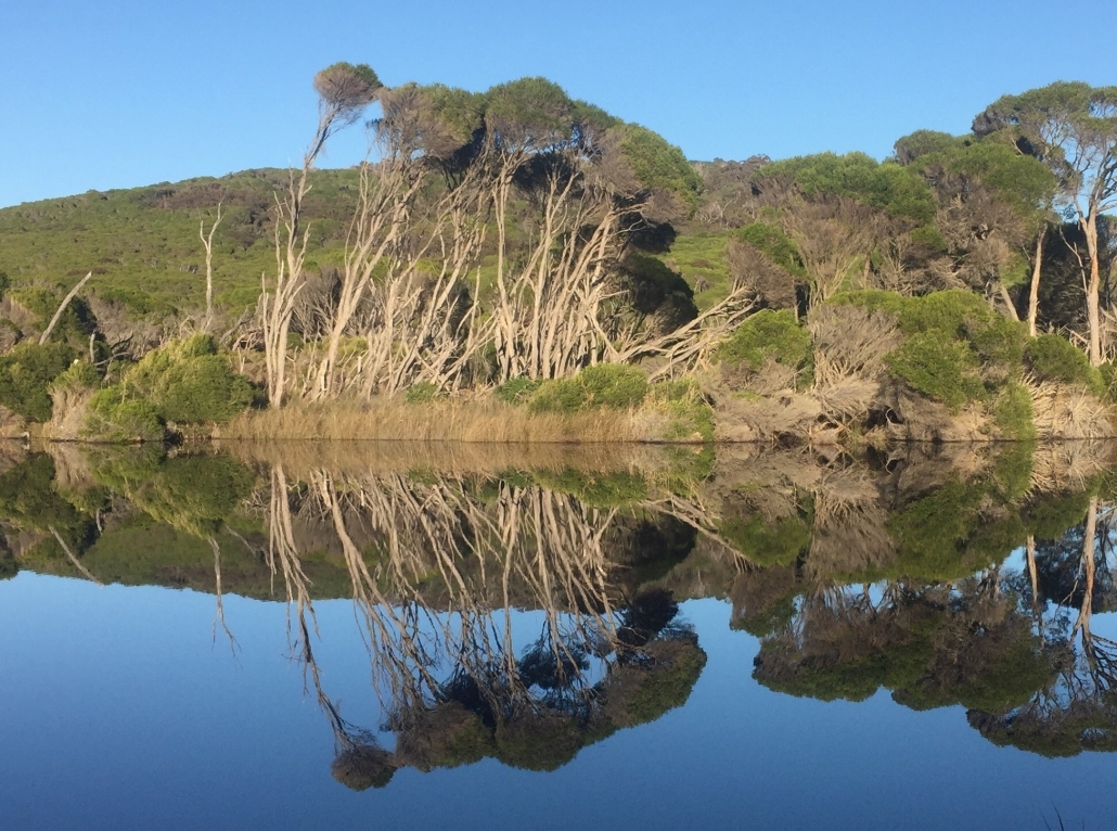 Bournda lagoon - reflection