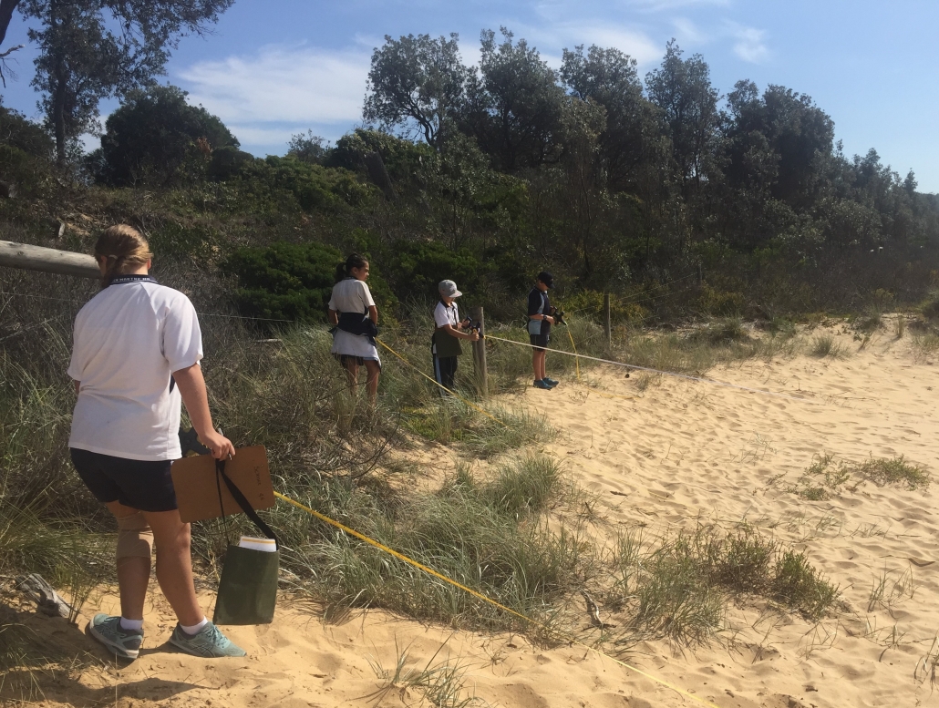 Students collecting data on the beach