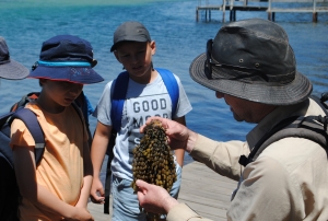 Students looking at seaweed