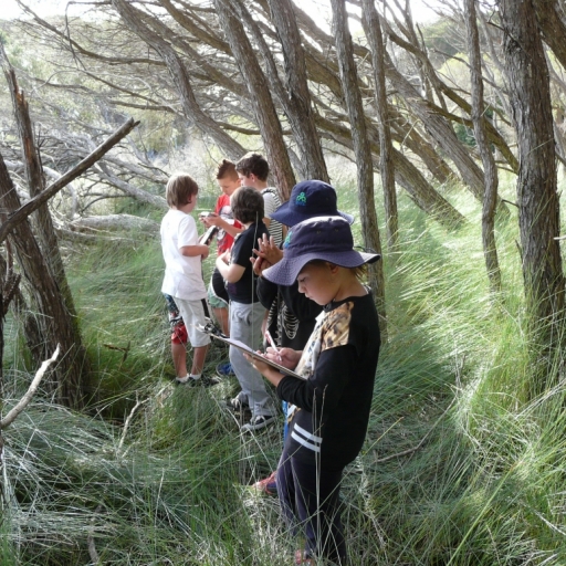 Students in tea tree forest recording data