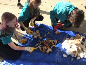 Students completing a waste audit